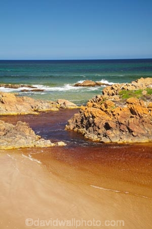 algae;Australasian;Australia;Australian;beach;beaches;coast;coastal;coastline;coastlines;coasts;foreshore;fungi;Gardiner-Point;Gardiner-Pt;Island-of-Tasmania;lichens;North-West-Coast;North-West-Tasmania;North-Western-Tasmania;Northern-Tasmania;ocean;oceans;orange;orange-lichen;orange-lichens;orange-rock;orange-rock-lichen;orange-rock-lichens;orange-rocks;sand;sandy;shore;shoreline;shorelines;shores;State-of-Tasmania;Tas;Tasmania;The-Edge-Of-the-World;The-North