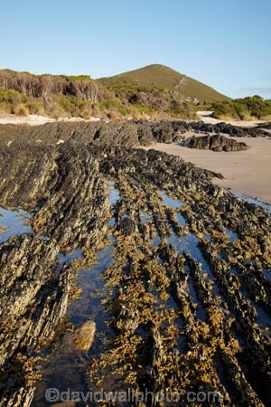 Australasian;Australia;Australian;coast;coastal;coastline;coastlines;coasts;foreshore;geological;geology;Island-of-Tasmania;Mary-Ann-Cove;North-West-Tasmania;North-Western-Tasmania;Northern-Tasmania;rock;rock-formation;rock-formations;rock-outcrop;rock-outcrops;rocks;Rocky-Cape-N.P.;Rocky-Cape-National-Park;Rocky-Cape-NP;shore;shoreline;shorelines;shores;State-of-Tasmania;stone;Tas;Tasmania;The-North;Unusual-Rock-Formations