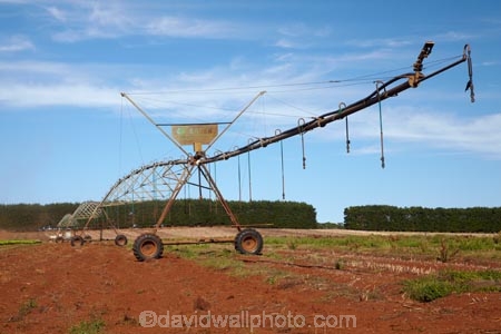 agicultural-machine;agricultural;agriculture;Australasian;Australia;Australian;automatic-irrigation;centre-pivot-irrigation;country;countryside;crop;crops;cultivation;farm;farm-equipment;farm-implements;farm-machinery;farming;farmland;farms;field;fields;grow;growing;horticulture;irrigate;irrigated-land;irrigation;irrigation-equipment;irrigation-scheme;irrigator;Island-of-Tasmania;machine;machines;meadow;meadows;mobile-irrigation;North-West-Tasmania;North-Western-Tasmania;Northern-Tasmania;paddock;paddocks;pasture;pastures;pivoting-boom-irrigation;rotary-irrigation;rural;spray;sprays;sprinkers;sprinkler;State-of-Tasmania;Table-Cape;Tas;Tasmania;The-North;Wynyard