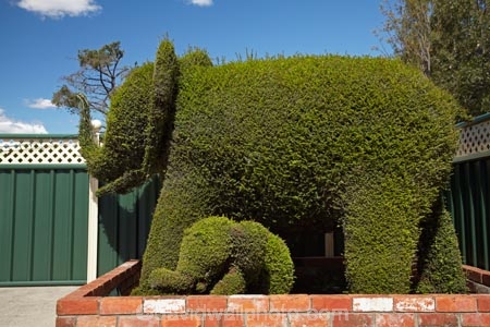 Australasian;Australia;Australian;Island-of-Tasmania;Northern-Tasmania;Railton;State-of-Tasmania;Tas;Tasmania;The-North;topiaries;Topiary;topiary-town