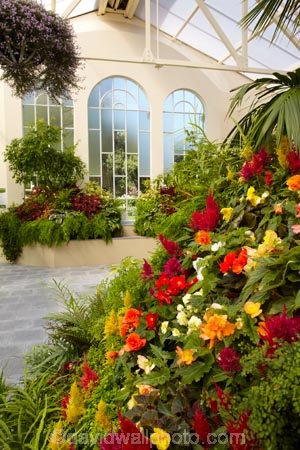 Australasian;Australia;Australian;botanic-garden;botanic-gardens;botanical-garden;botanical-gardens;City-Park;conservatories;flower;Flowers;gardens;Island-of-Tasmania;John-Hart-Conservatory;Launceston;North-Tasmania;Northern-Tasmania;State-of-Tasmania;Tas;Tasmania