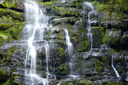 Australasian;Australia;Australian;cascade;cascades;creek;creeks;falls;Franklin-_-Gordon-Wild-Rivers-N.P.;Franklin-_-Gordon-Wild-Rivers-National-Park;Franklin-_-Gordon-Wild-Rivers-NP;Franklin-Gordon-Wild-Rivers-N.P.;Franklin-Gordon-Wild-Rivers-National-Park;Franklin-Gordon-Wild-Rivers-NP;Island-of-Tasmania;natural;nature;Nelson-Falls;scene;scenic;State-of-Tasmania;stream;streams;Tas;Tasmania;Tasmanian-Wilderness-World-Heritage-Area;The-West;water;water-fall;water-falls;waterfall;waterfalls;West-Tasmania;Western-Tasmania;wet;World-Heritage-Area;World-Heritage-Areas;World-Heritage-Site;World-Heritage-Sites