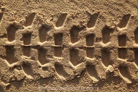 Australasian;Australia;Australian;beach;beaches;bike-track;bike-tracks;coast;coastal;coastline;Island-of-Tasmania;knobbly-tire-track;knobbly-tire-tracks;knobbly-track;knobbly-tracks;Ocean-Beach;pattern;patterns;Quad-Bike-Track;Quad-tracks;sand;sandy;State-of-Tasmania;Strahan;Tas;Tasmania;The-West;tire-print;tire-track;tire-tracks;tyre-prints;tyre-track;tyre-tracks;West-Tasmania;Western-Tasmania