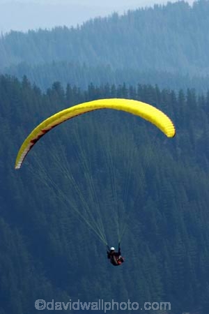 adrenaline;adventure;adventure-tourism;altitude;australasian;Australia;australian;Bright;canopy;excite;excitement;extreme;extreme-sport;fly;flyer;flying;forest;forestry;forests;free;freedom;paraglide;paraglider;paragliders;paragliding;parapont;paraponter;paraponters;paraponting;paraponts;parasail;parasailer;parasailers;parasailing;parasails;pilot;pilots;recreation;skies;sky;soar;soaring;sport;sports;tree;trees;Victoria;view;yellow