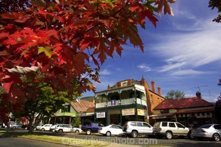 acer;australasia;Australia;australian;autuminal;autumn;autumn-colour;autumn-colours;autumnal;autumninal;Bright;building;buildings;color;colors;colour;colours;crimson;deciduous;fall;fall-color;fall-colors;foliage;heritage;historic;historic-building;historic-buildings;historical;historical-building;historical-buildings;history;leaf;leaves;maple;maples;old;red;scarlet;tradition;traditional;tree;trees;Victoria