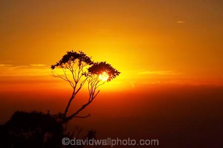 Alpine-National-Park;alps;australasia;australia;australian;australian-alps;break-of-day;dawn;dawning;daybreak;dusk;eucalypt;eucalypts;eucalyptus;eucalytis;evening;first-light;gum;gum-tree;gum-trees;gums;high-country;morning;mount-hotham;mountain;mountains;mt-hotham;mt.-hotham;nightfall;orange;silhouette;silhouettes;sky;sunrise;sunrises;sunset;sunsets;sunup;tree;trees;twilight;victoria;victorian-alps