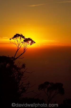 Alpine-National-Park;alps;australasia;australia;australian;australian-alps;break-of-day;dawn;dawning;daybreak;dusk;eucalypt;eucalypts;eucalyptus;eucalytis;evening;first-light;gum;gum-tree;gum-trees;gums;high-country;morning;mount-hotham;mountain;mountains;mt-hotham;mt.-hotham;nightfall;orange;silhouette;silhouettes;sky;sunrise;sunrises;sunset;sunsets;sunup;tree;trees;twilight;victoria;victorian-alps