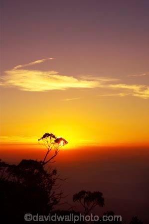 Alpine-National-Park;alps;australasia;australia;australian;australian-alps;break-of-day;dawn;dawning;daybreak;dusk;eucalypt;eucalypts;eucalyptus;eucalytis;evening;first-light;gum;gum-tree;gum-trees;gums;high-country;morning;mount-hotham;mountain;mountains;mt-hotham;mt.-hotham;nightfall;orange;silhouette;silhouettes;sky;sunrise;sunrises;sunset;sunsets;sunup;tree;trees;twilight;victoria;victorian-alps