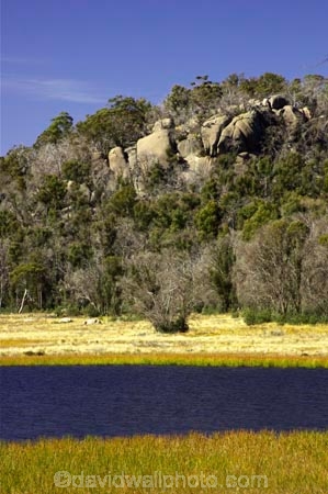 alpine;australasia;australia;australian;australian-alps;eucalypt;eucalypts;eucalyptus;eucalytis;gum;gum-tree;gum-trees;gums;lake;lake-catani;lakes;mount-buffalo-n.p.;mount-buffalo-national-park;mount-buffalo-np;mt-buffalo-n.p.;mt-buffalo-national-park;mt-buffalo-np;mt.-buffalo-n.p.;mt.-buffalo-national-park;mt.-buffalo-np;tree;trees;victoria;victorian-alps