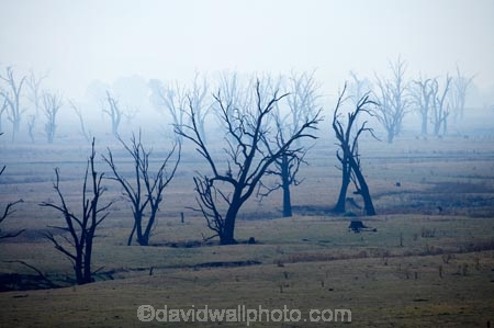 air-pollution;air-polutants;air-quality;airshed;airsheds;atmosphere;Australia;bad-air-quality;blackened-tree;blackened-trees;burnoff;burnoffs;burnt-tree;burnt-trees;bush-fire;bush-fires;bush_fire;bush_fires;bushfire;bushfires;carbon-footprint;dead-tree;dead-trees;drought;dry;Eastern-Victoria;emissions;emit;emsision;environment;global-warming;greenhouse-gas;greenhouse-gases;haze;hazey;hazy;high-pollution-day;high-pollution-days;Lake-Hume;Mitta-Arm;pollute;polluting;pollution;poor-air-quality;smog;smoggy;smoke;smokey;smoky;Tallangatta;tree;tree-stump;tree-stumps;tree-trunk;tree-trunks;trees;VIC;Victoria