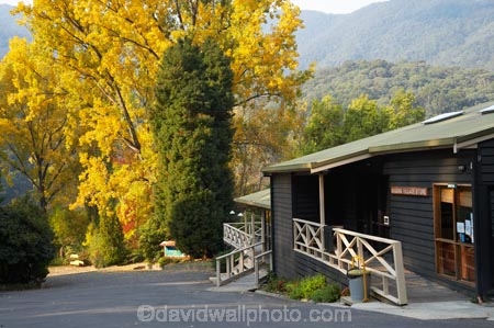 Australia;autuminal;autumn;autumn-colour;autumn-colours;autumnal;Bogong;Bogong-Village;Bogong-Village-Store;color;colors;colour;colours;commerce;commercial;country-shop;country-shops;country-store;country-stores;deciduous;East-Victoria;Eastern-Victoria;fall;general-shop;general-shops;general-store;general-stores;hill;hills;leaf;leaves;Mount-Beauty;Mt-Beauty;Mt.-Beauty;retail;retail-store;retailer;retailers;season;seasonal;seasons;shop;shopping;shops;store;stores;tree;trees;VIC;Victoria;Victorian-Alps;yellow