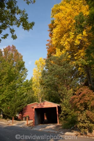 Australia;autuminal;autumn;autumn-colour;autumn-colours;autumnal;Bogong;Bogong-Village;color;colors;colour;colours;deciduous;East-Victoria;Eastern-Victoria;fall;garage;garages;leaf;leaves;Mount-Beauty;Mt-Beauty;Mt.-Beauty;old-garage;rustic;season;seasonal;seasons;tree;trees;VIC;Victoria;Victorian-Alps;yellow