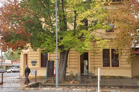 Australia;autuminal;autumn;autumn-colour;autumn-colours;autumnal;bank;banks;Beechworth;building;buildings;color;colors;colour;colours;deciduous;East-Victoria;Eastern-Victoria;fall;heritage;historic;historic-building;historic-buildings;historical;historical-building;historical-buildings;history;leaf;leaves;old;season;seasonal;seasons;tradition;traditional;tree;trees;VIC;Victoria