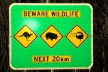 australasia;australia;australian;beware-wildlife;bird;birds;kangaroo;Kangaroo-Warning-Sign;kangaroos;Lasiorhinus-latrifrons;lyre-bird;lyre-birds;lyre_bird;lyre_birds;lyrebird;lyrebirds;mount-buffalo-n.p.;mount-buffalo-national-park;mount-buffalo-np;mt-buffalo-n.p.;mt-buffalo-national-park;mt-buffalo-np;mt.-buffalo-n.p.;mt.-buffalo-national-park;mt.-buffalo-np;natural;nature;next-20-km;next-20km;next-twenty-kilometres;Road;road-sign;road-signs;road_sign;road_signs;roads;roadsign;roadsigns;sign;signs;symbol;symbols;tranportation;transport;travel;victoria;warn;warning;wildlife;wombat;wombats;yellow-black