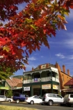 acer;australasia;Australia;australian;autuminal;autumn;autumn-colour;autumn-colours;autumnal;autumninal;Bright;building;buildings;color;colors;colour;colours;crimson;deciduous;fall;fall-color;fall-colors;foliage;heritage;historic;historic-building;historic-buildings;historical;historical-building;historical-buildings;history;leaf;leaves;maple;maples;old;red;scarlet;tradition;traditional;tree;trees;Victoria