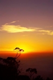 Alpine-National-Park;alps;australasia;australia;australian;australian-alps;break-of-day;dawn;dawning;daybreak;dusk;eucalypt;eucalypts;eucalyptus;eucalytis;evening;first-light;gum;gum-tree;gum-trees;gums;high-country;morning;mount-hotham;mountain;mountains;mt-hotham;mt.-hotham;nightfall;orange;silhouette;silhouettes;sky;sunrise;sunrises;sunset;sunsets;sunup;tree;trees;twilight;victoria;victorian-alps