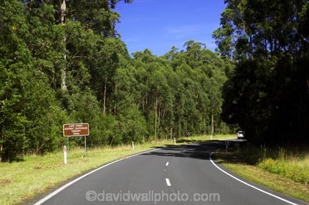 australasia;australasian;Australia;australian;beautiful;beauty;bend;bends;bush;cape-otway;centre-line;centre-lines;centre_line;centre_lines;centreline;centrelines;corner;corners;driving;endemic;eucalypt;eucalypts;eucalyptus;eucalytis;forest;forests;great-ocean-highway;Great-Ocean-Road;great-ocean-route;green;gum;gum-tree;gum-trees;gums;highway;highways;native;native-bush;natives;natural;nature;open-road;open-roads;road;road-trip;roads;scene;scenic;straight;transport;transportation;travel;traveling;travelling;tree;trees;trip;victoria;wood