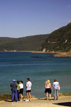 australasia;australasian;australia;australian;coast;coastal;coastline;coastlines;coasts;great-ocean-highway;Great-Ocean-Road;great-ocean-route;holiday;holidaying;holidays;lorne;ocean;sea;shore;shoreline;shorelines;shores;southern-ocean;tourism;tourist;tourists;travel;traveler;traveling;traveller;travelling;vacation;vacationers;vacationing;vacations;Victoria