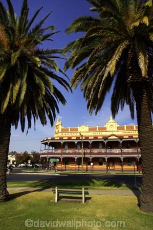 ale-house;ale-houses;architecture;australaisian;Australia;australian;balconies;balcony;bar;bars;Bendigo;building;buildings;colonial;free-house;free-houses;heritage;historic;historic-building;historic-buildings;historical;historical-building;historical-buildings;history;hotel;hotels;mcmaster-hotel;mcmasters-hotel;mcmasters-hotel;old;palm;palm-tree;palm-trees;palms;place;places;pub;public-house;public-houses;pubs;saloon;saloons;shamrock;shamrock-buildings;Shamrock-Hotel;tavern;taverns;tradition;traditional;two-storey;two-storeyed;two-storied;Victoria;wood;wooden