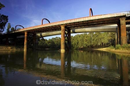 australasia;Australia;australian;bridge;bridges;Echuca;eucalypt;eucalypts;eucalyptus;eucalytis;gum;gum-tree;gum-trees;gums;moama;Murray;Murray-River;n.s.w.;New-South-Wales;nsw;river;rivers;victoria