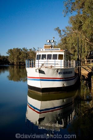 Australasian;Australia;Australian;boat;boats;calm;cruise;cruises;launch;launches;M.V.-Kookaburra;Murray-River;N.S.W.;New-South-Wales;NSW;placid;quiet;reflection;reflections;river;rivers;serene;smooth;still;Swan-Hill;tour-boat;tour-boats;tourism;tourist;tourist-boat;tourist-boats;tranquil;Vic;Victoria;water