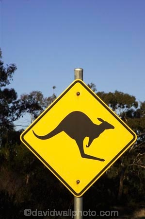 australasia;Australia;australian;black;forest;forests;kangaroo;Kangaroo-Warning-Sign;kangaroos;mount-arapiles;mt-arapiles;mt.-arapiles;natural;nature;Road;road-sign;road-signs;road_sign;road_signs;roads;roadsign;roadsigns;sign;signs;symbol;symbols;tranportation;transport;travel;Victoria;warn;yellow