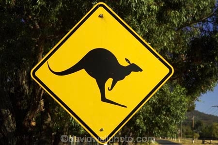 Ararat;australasia;Australia;australian;black;forest;forests;kangaroo;Kangaroo-Warning-Sign;kangaroos;natural;nature;Road;road-sign;road-signs;road_sign;road_signs;roads;roadsign;roadsigns;sign;signs;symbol;symbols;tranportation;transport;travel;Victoria;warn;yellow