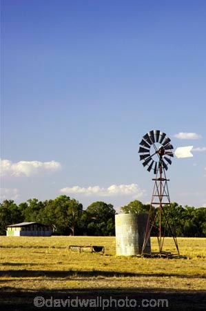 agricultural;agriculture;australasia;australia;australian;bore-pump;bore-pumps;borepump;borepumps;country;countryside;dawn;dawning;daybreak;dusk;evening;farm;farming;farmland;farms;field;fields;rural;silhouette;silhouettes;sky;tank;tanks;victoria;water-tank;water-tanks;watertank;watertanks;wind;wind-mill;wind-mills;wind_mill;wind_mills;windmill;windmills;windy