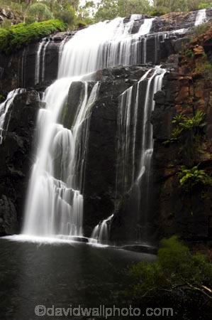 australasia;australasian;Australia;cascade;cascades;creek;creeks;falls;grampian-national-park;grampians-N.P.;Grampians-National-Park;Mackenzie-Falls;mckenzie-falls;national-parks;natural;nature;scene;scenic;stream;streams;Victoria;water;water-fall;water-falls;waterfall;waterfalls;wet