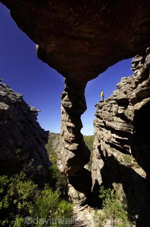 arch;arches;australasia;australasian;Australia;bluff;bluffs;cliff;cliffs;erosion;geological-formation;geological-formations;geology;grampian-national-park;grampians-N.P.;Grampians-National-Park;grampians-np;national-parks;natural;Natural-Rock-Arch;nature;nerve-test;on-the-edge;people;person;persons;rock;rock-arch;rock-arches;rock-formation;rock-formations;rocks;rocky;scene;scenic;stone;The-Nerve-Test;tourism;tourist;tourists;travel;Victoria;wonderland-range;wonderland-ranges