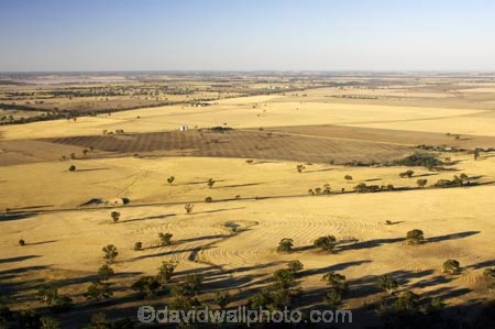 agricultural;agriculture;australasia;australia;australian;country;countryside;crop;crops;drought;droughts;dry;farm;farming;farmland;farms;field;fields;horsham;horticulture;meadow;meadows;mount-arapiles;mt-arapiles;mt.arapiles;natimuk;paddock;paddocks;parched;pasture;pastures;rural;victoria