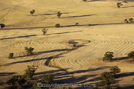 agricultural;agriculture;australasia;australia;australian;country;countryside;crop;crops;drought;droughts;dry;farm;farming;farmland;farms;field;fields;horsham;horticulture;meadow;meadows;mount-arapiles;mt-arapiles;mt.arapiles;natimuk;paddock;paddocks;parched;pasture;pastures;rural;victoria