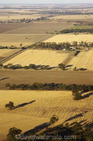 agricultural;agriculture;australasia;australia;australian;country;countryside;crop;crops;drought;droughts;dry;farm;farming;farmland;farms;field;fields;horsham;horticulture;meadow;meadows;mount-arapiles;mt-arapiles;mt.arapiles;natimuk;paddock;paddocks;parched;pasture;pastures;rural;victoria