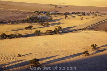 agricultural;agriculture;australasia;australia;australian;country;countryside;crop;crops;drought;droughts;dry;farm;farming;farmland;farms;field;fields;horsham;horticulture;meadow;meadows;mount-arapiles;mt-arapiles;mt.arapiles;natimuk;paddock;paddocks;parched;pasture;pastures;rural;victoria