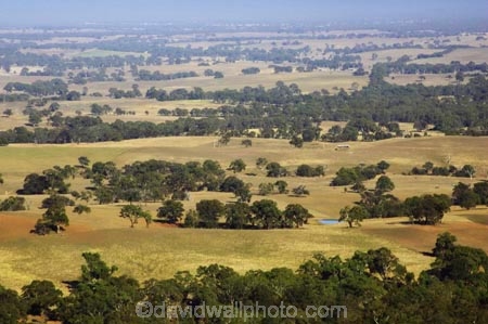 agricultural;agriculture;ararat;australasia;australia;australian;country;countryside;crop;crops;eucalypt;eucalypts;eucalyptus;eucalytis;farm;farming;farmland;farms;field;fields;gum;gum-tree;gum-trees;gums;horticulture;meadow;meadows;paddock;paddocks;pasture;pastures;rural;tree;trees;victoria