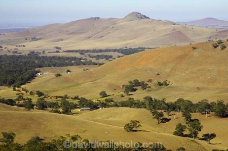 agricultural;agriculture;ararat;australasia;australia;australian;country;countryside;crop;crops;eucalypt;eucalypts;eucalyptus;eucalytis;farm;farming;farmland;farms;field;fields;gum;gum-tree;gum-trees;gums;horticulture;meadow;meadows;paddock;paddocks;pasture;pastures;rural;tree;trees;victoria