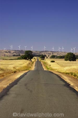 aerogenerator;aerogenerators;agricultural;agriculture;australasia;australia;australian;beaufort;country;countryside;driving;dynamo;farm;farming;farmland;farms;field;fields;generation;generators;highway;highways;meadow;meadows;open-road;open-roads;paddock;paddocks;pasture;pastures;power-generation;power-generator;power-generators;road;road-trip;roads;rural;straight;sustainable-energy;sustainable-generation;transport;transportation;travel;traveling;travelling;trip;victoria;wind-energy;wind-farm;wind-farms;wind-generation;wind-generator;wind-generators;wind-turbine;wind-turbines;windmill;windmills