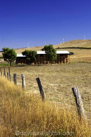 aerogenerator;aerogenerators;agricultural;agriculture;australasia;australia;australian;barn;barns;country;countryside;dynamo;farm;farm-building;farm-buildings;farming;farmland;farms;fence;fence-post;fence-posts;fencepost;fenceposts;fences;field;fields;generation;generators;hay-barn;hay-shed;hay-sheds;haybarn;haybarns;hayshed;haysheds;meadow;meadows;paddock;paddocks;pasture;pastures;power-generation;power-generator;power-generators;rural;sustainable-energy;sustainable-generation;victoria;wind-energy;wind-farm;wind-farms;wind-generation;wind-generator;wind-generators;wind-turbine;wind-turbines;windmill;windmills