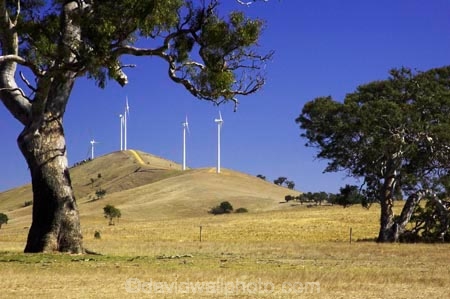 aerogenerator;aerogenerators;agricultural;agriculture;australasia;australia;australian;beaufort;country;countryside;dynamo;eucalypt;eucalypts;eucalyptus;eucalytis;farm;farming;farmland;farms;field;fields;generation;generators;gum;gum-tree;gum-trees;gums;meadow;meadows;paddock;paddocks;pasture;pastures;power-generation;power-generator;power-generators;rural;sustainable-energy;sustainable-generation;tree;trees;victoria;wind-energy;wind-farm;wind-farms;wind-generation;wind-generator;wind-generators;wind-turbine;wind-turbines;windmill;windmills