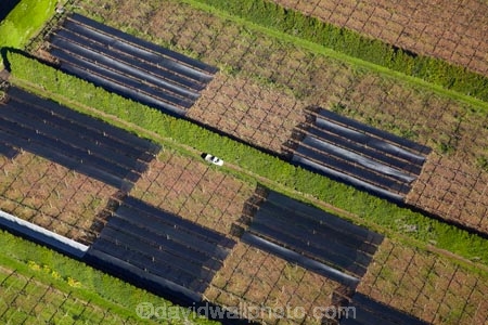 aerial;aerial-image;aerial-images;aerial-photo;aerial-photograph;aerial-photographs;aerial-photography;aerial-photos;aerial-view;aerial-views;aerials;New-Zealand;NZ;N.Z.;North-Island;North-Is;NI;N.I.;Auckland;Auckland-region