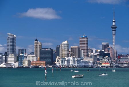 boat;boats;cities;city-of-sails;cityscape;cityscapes;harbor;harbors;harbours;high-rise;office;offices;port;ports;sailboat;sailboats;skyline;skyscrapers;waterfront;yachts