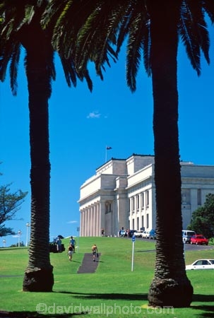 columns;grass;historic;historical;history;palm;palm-tree;palm-trees;war-memorial-museum