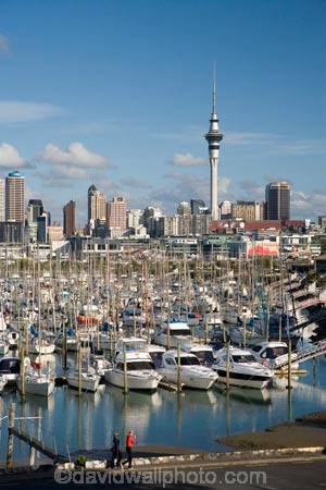 Auckland;Auckland-Marina;boat;boats;building;buildings;c.b.d.;cbd;central-business-district;cities;city;City-of-Sails;cityscape;cityscapes;harbor;harbors;harbour;harbours;high;high-rise;high-rises;high_rise;high_rises;highrise;highrises;hull;hulls;launch;launches;marina;marinas;mast;masts;moored;mooring;multi_storey;multi_storied;multistorey;multistoried;N.I.;N.Z.;New-Zealand;NI;North-Island;NZ;office;office-block;office-blocks;offices;port;ports;Queen-City;sail;sailing;sky-scraper;sky-scrapers;Sky-Tower;sky_scraper;sky_scrapers;Sky_tower;Skycity;skyscraper;skyscrapers;Skytower;tall;tower;tower-block;tower-blocks;towers;viewing-tower;viewing-towers;Waitemata-Harbor;Waitemata-Harbour;Westhaven-Marina;yacht;yachts