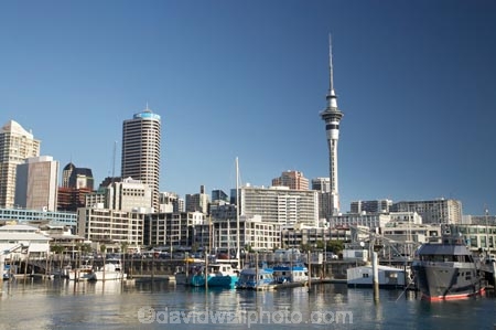 Auckland;Auckland-Waterfront;boat;boats;building;buildings;c.b.d.;cbd;central-business-district;cities;city;City-of-Sails;cityscape;cityscapes;cruise;Cruiser;Cruisers;cruises;Harbor;harbors;harbour;harbours;high;high-rise;high-rises;high_rise;high_rises;highrise;highrises;launch;Launches;marina;marinas;multi_storey;multi_storied;multistorey;multistoried;N.I.;N.Z.;New-Zealand;NI;North-Island;NZ;office;office-block;office-blocks;offices;Queen-City;sky-scraper;sky-scrapers;Sky-Tower;sky_scraper;sky_scrapers;Sky_tower;Skycity;skyscraper;skyscrapers;Skytower;Super-Yacht;Super-Yachts;Super_yacht;Super_yachts;Superyacht;Superyachts;tall;The-Viaduct-Basin;tower;tower-block;tower-blocks;towers;Viaduct-Basin;Viaduct-Harbor;Viaduct-Harbour;viewing-tower;viewing-towers;Waitemata-Harbor;Waitemata-Harbour;water;water-front;waterfront;wharf;wharfes;wharves;Yacht;Yachts