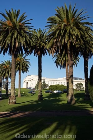architecture;Auckland;Auckland-Domain;Auckland-Museum;Auckland-War-Memorial-Museum;building;buildings;heritage;historic;historic-building;historic-buildings;historical;historical-building;historical-buildings;history;museum;museums;N.I.;N.Z.;New-Zealand;NI;North-Island;NZ;old;palm;palm-tree;palm-trees;palms;tradition;traditional;tree;trees