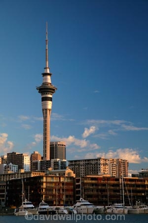Auckland;Auckland-waterfront;Boat;Boats;building;buildings;c.b.d.;CBD;central-business-district;cities;city;city-centre;City-of-Sails;cityscape;cityscapes;Cruiser;Cruisers;down-town;downtown;Financial-District;Harbor;harbors;harbour;harbours;high;high-rise;high-rises;high_rise;high_rises;highrise;highrises;Launch;Launches;marina;marinas;multi_storey;multi_storied;multistorey;multistoried;N.I.;N.Z.;New-Zealand;NI;North-Is.;North-Island;Nth-Is;NZ;office;office-block;office-blocks;office-building;office-buildings;offices;Queen-City;sky-scraper;sky-scrapers;Sky-Tower;sky_scraper;sky_scrapers;Sky_tower;Skycity;skyscraper;skyscrapers;Skytower;Super-Yacht;Super-Yachts;Super_yacht;Super_yachts;Superyacht;Superyachts;tall;The-Viaduct-Basin;tower;tower-block;tower-blocks;towers;Viaduct-Basin;Viaduct-Harbor;Viaduct-Harbour;Viaduct-Marina;viewing-tower;viewing-towers;Waitemata-Harbor;Waitemata-Harbour;waterfront;wharf;wharfes;wharves;Yacht;Yachts