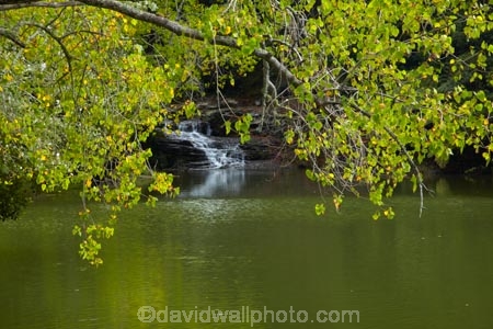 Auckland;Auckland-region;cascade;cascades;fall;falls;Matakana;N.Z.;natural;nature;New-Zealand;North-Auckland;North-Is.;North-Island;Nth-Is;NZ;Rodney-District;scene;scenic;water;water-fall;water-falls;waterfall;waterfalls;wet