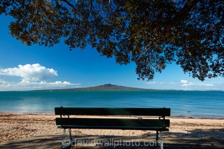 Auckland;beach;beaches;Cheltenham-Beach;Devonport;Hauraki-Gulf;N.I.;N.Z.;New-Zealand;NI;North-Auckland;North-Head;North-Is;North-Island;North-Shore;Nth-Is;NZ;park-bench;park-benchs;pohutukawa-tree;pohutukawa-trees;Rangitoto-Is;Rangitoto-Island;seat;seats;volcanic;volcanic-cone;volcanic-cones;volcano;volcanoes