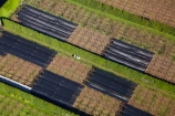 aerial;aerial-image;aerial-images;aerial-photo;aerial-photograph;aerial-photographs;aerial-photography;aerial-photos;aerial-view;aerial-views;aerials;New-Zealand;NZ;N.Z.;North-Island;North-Is;NI;N.I.;Auckland;Auckland-region