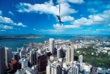 adrenalin;adrenaline;adventure-tourism;air;bungee;bungy;CBD;central-business-district;city;exciting;extreme;fly;flying;harbor;harbour;high;jumping;Waitemata